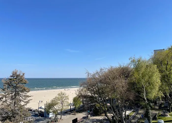 Przy Plazy Centrum Gdynia