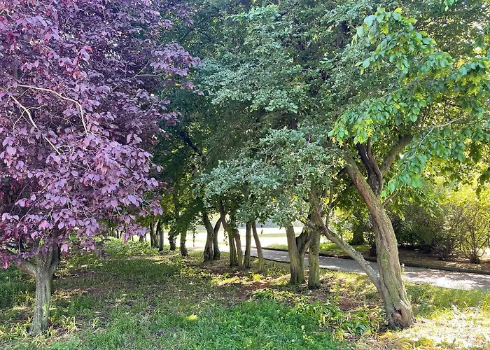 Przy Plazy Centrum Apartment *